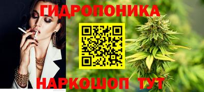 PSILOCYBIN Гусиноозёрск