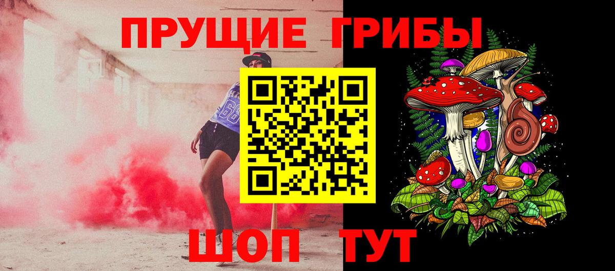 Псилоцибиновые грибы Psilocybe  Вход с VPN  Луга 