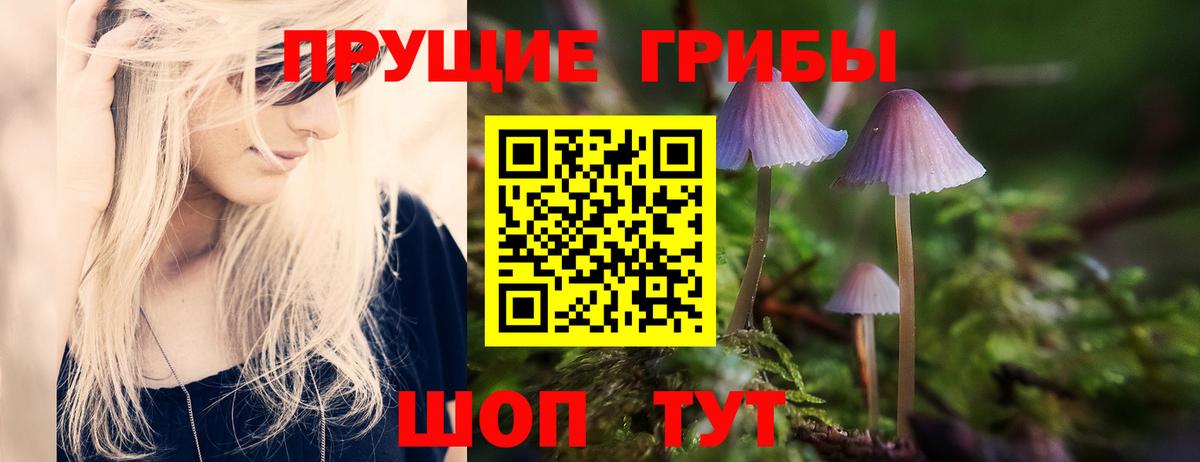 Псилоцибиновые грибы Psilocybe Луга